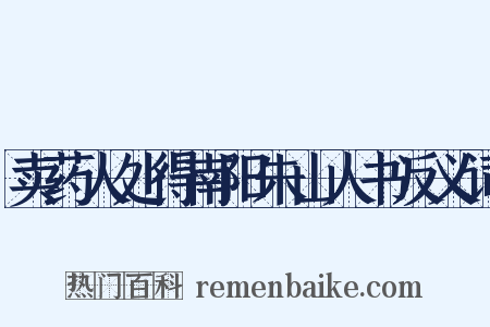 卖药人处得南阳朱山人书反义词是什么意思的图片